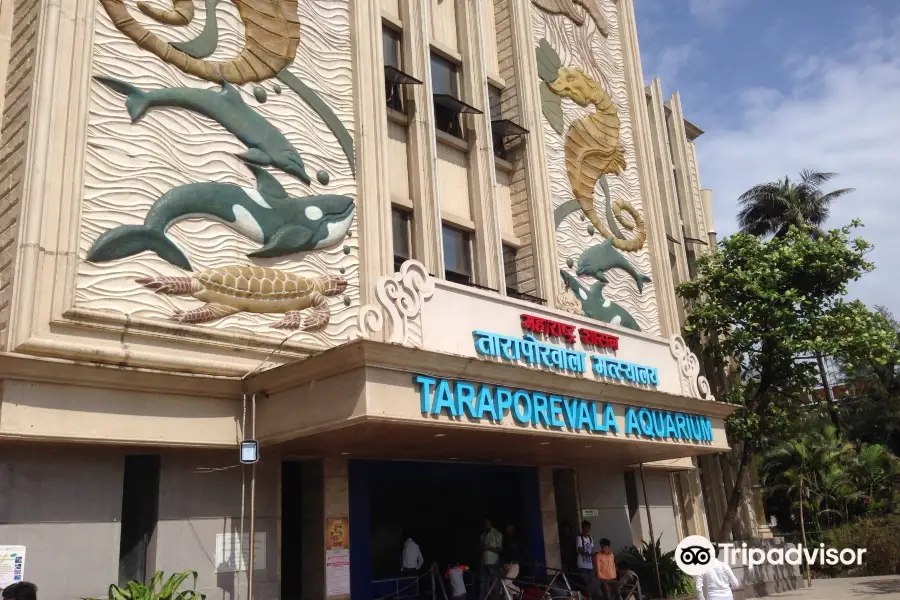 Taraporevala Aquarium