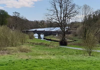 Tintern Abbey