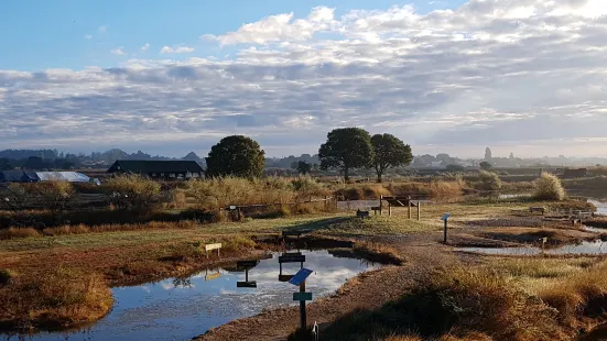 LES SALINES