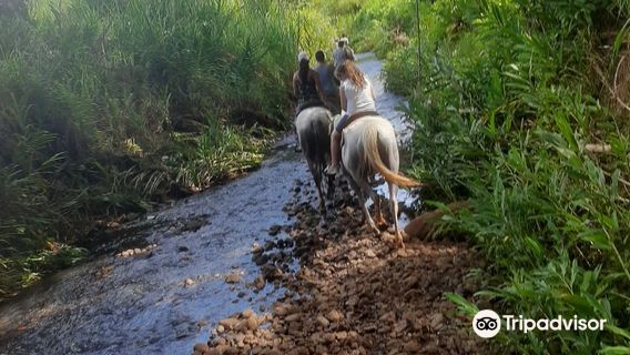 Rancho do Kajuba