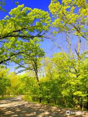 Springbrook State Park