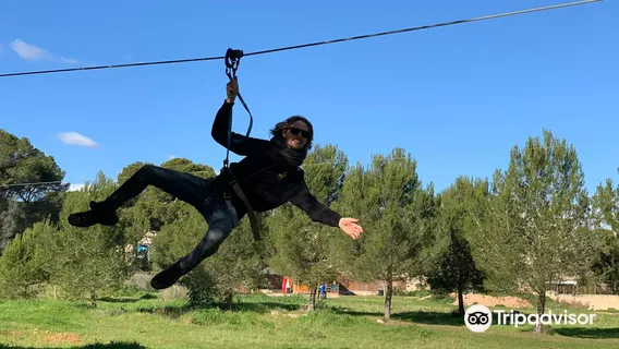 TirolinasGo Mallorca Forestal Park