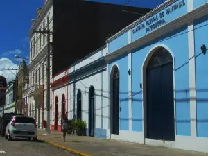 Museu de Historia do Pantanal