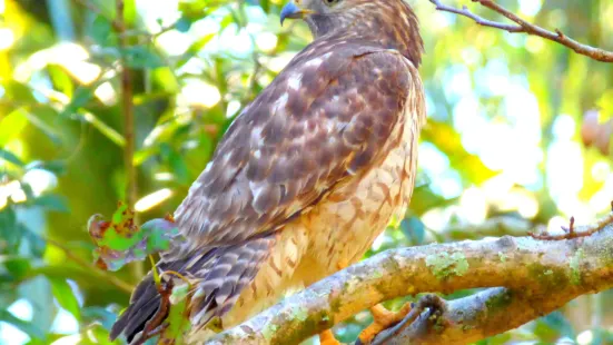 Hardee County Wildlife Refuge