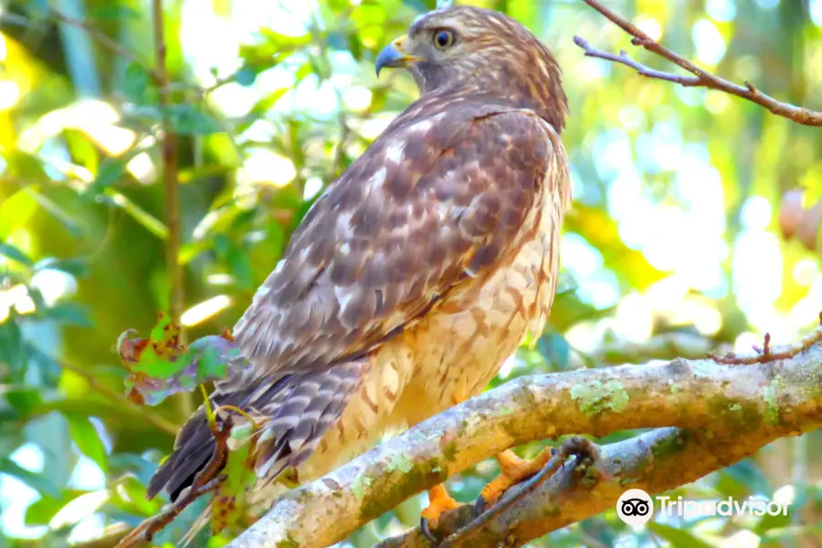 Hardee County Wildlife Refuge