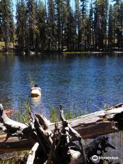 Caribou Wilderness