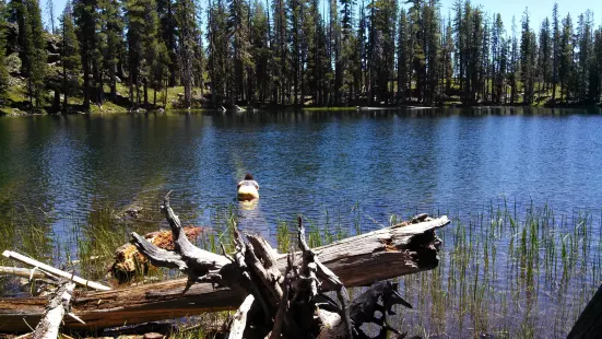 Caribou Wilderness