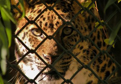 ボイシ動物園