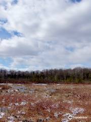 Saul Lake Bog Nature Preserve