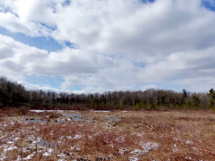 Hotels in Grattan Township