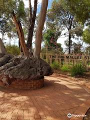 The Big Mallee Root Stump