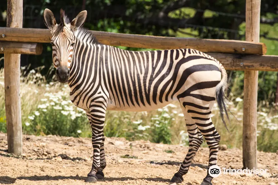 Parc Animalier d'Auvergne