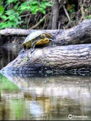 Alafia River State Park