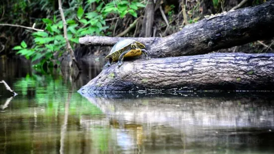 Alafia River State Park