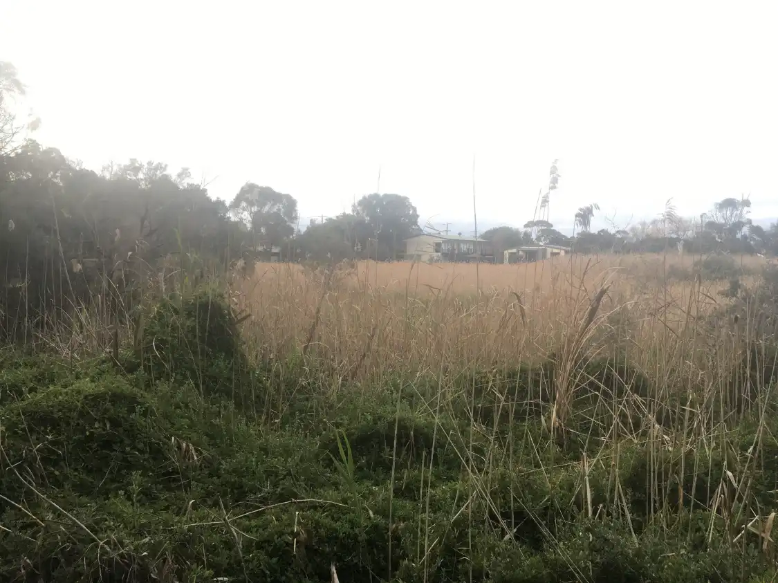 Hotels near Tootgarook Wetlands
