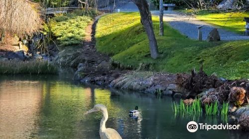 Japanese Garden