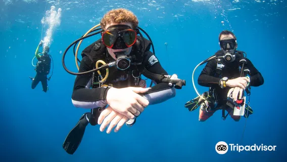 Dive Kauai Scuba Center @ Beach Activities Desk