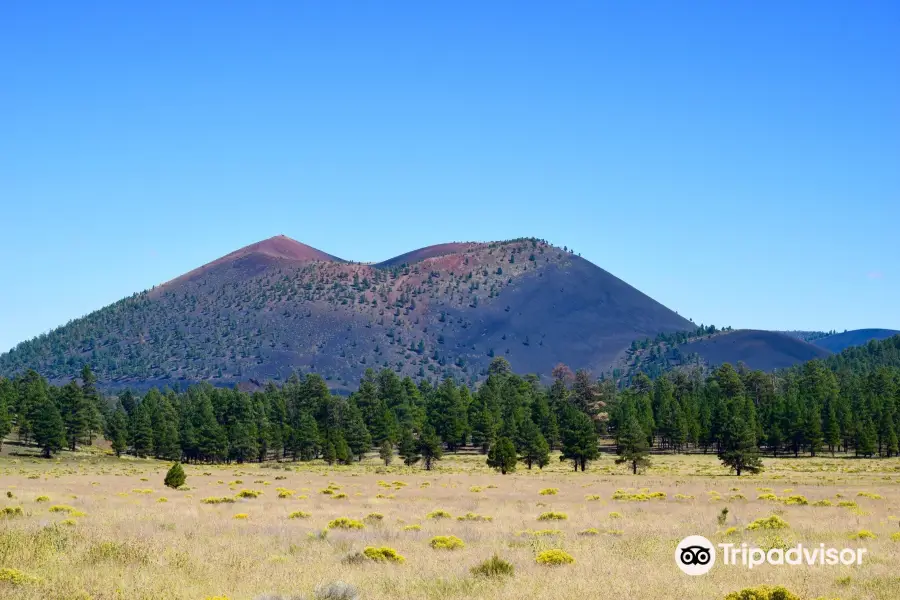 Sunset Crater Volcano National Monument