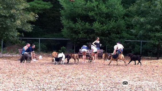 Sharon Dog Park