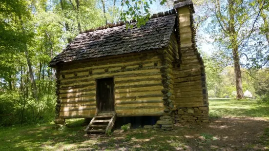 Bushy Run Battlefield