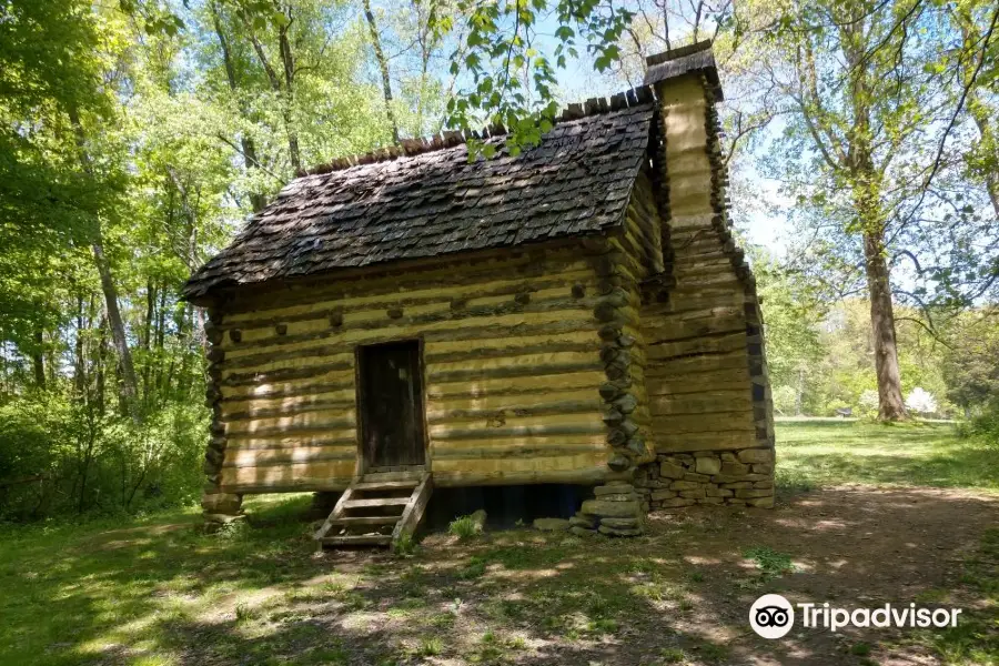 Bushy Run Battlefield