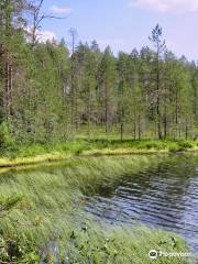 Tiilikkajärven Kansallispuisto