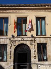 Archaeological Museum of Palencia