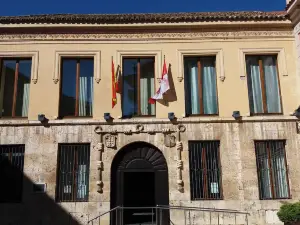 Museo de Palencia