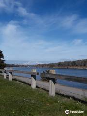 Cape Cod Canal