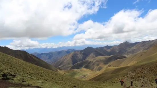 Native Peru