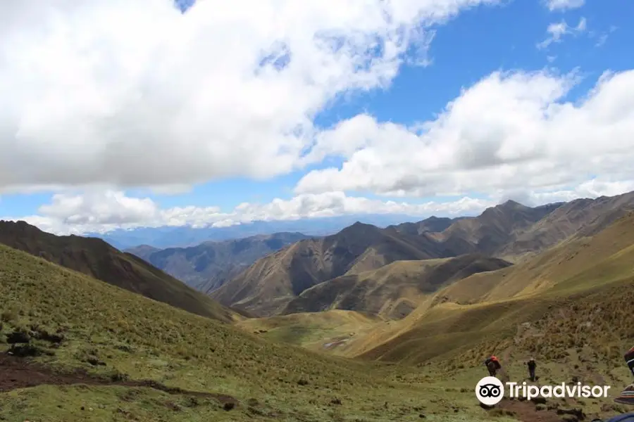 Native Peru