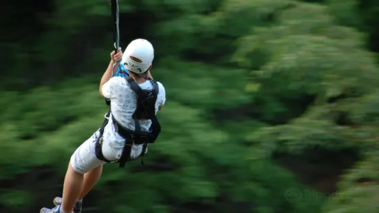 Zipline Korea Mungyeong