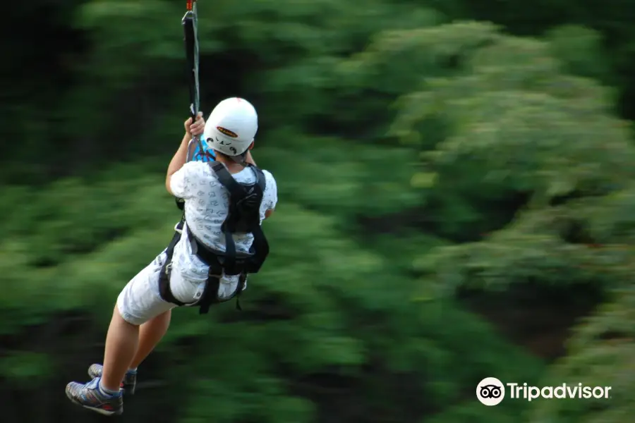 Zipline Korea Mungyeong