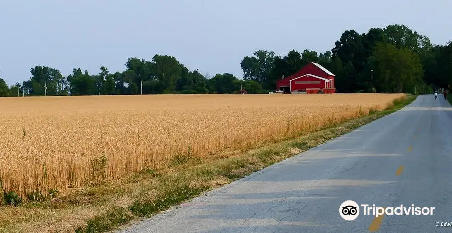 Farm Dog Cycles