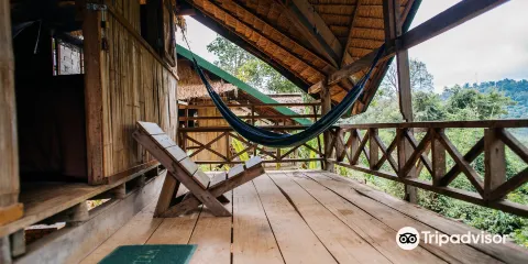 Elephant Conservation Center