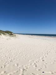 Ocracoke Beach