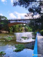 Gran Parque Metropolitano Parque