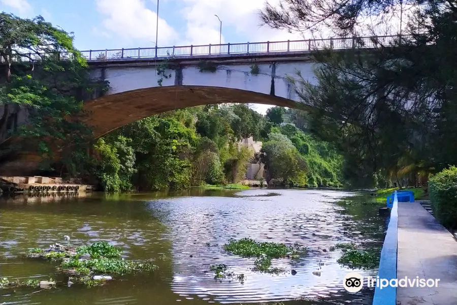 Gran Parque Metropolitano Parque