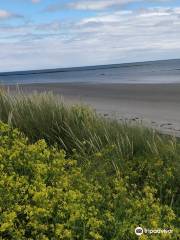 Cloughey Bay Beach