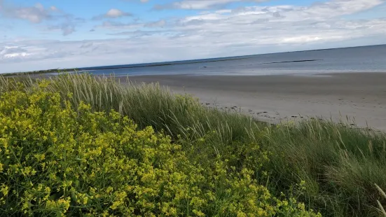 Cloughey Bay Beach