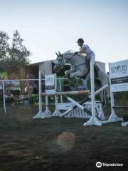 Horse Riding Rhodes Apollon