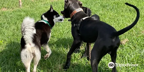 Fairbrook Optimist Dog Park