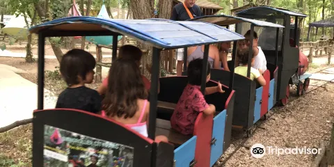 Swingroller City parc