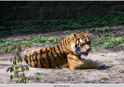 Zoo Landau in der Pfalz