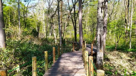 Togakushi Forest Botanical Garden