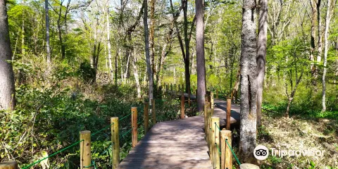戸隠森林植物園