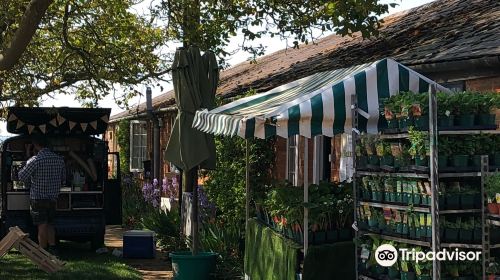 Wykham Park Farm Shop