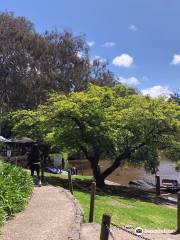 Yarra Bend Park