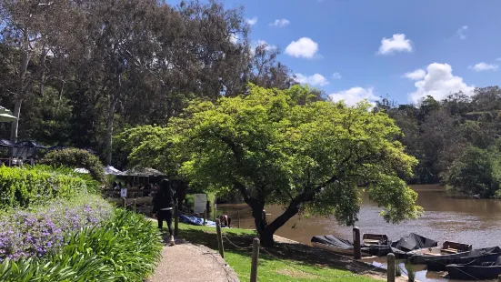 Yarra Bend Park