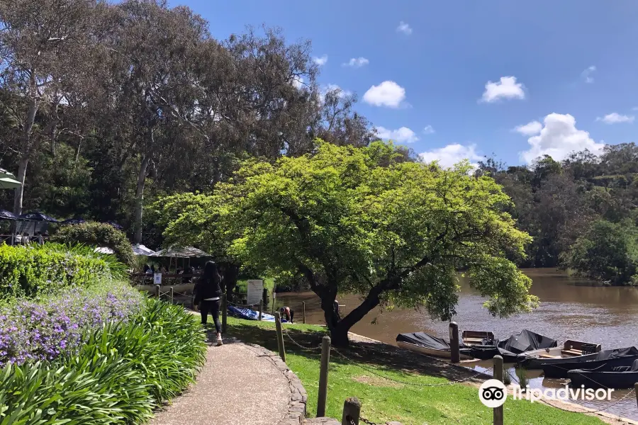 Yarra Bend Park